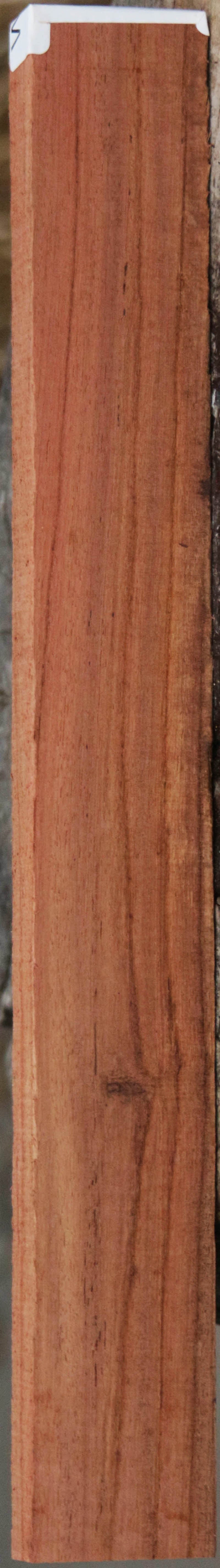 Panama Rosewood