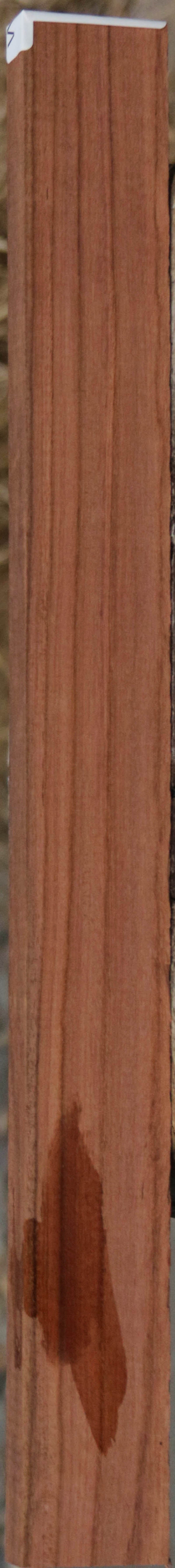 Panama Rosewood