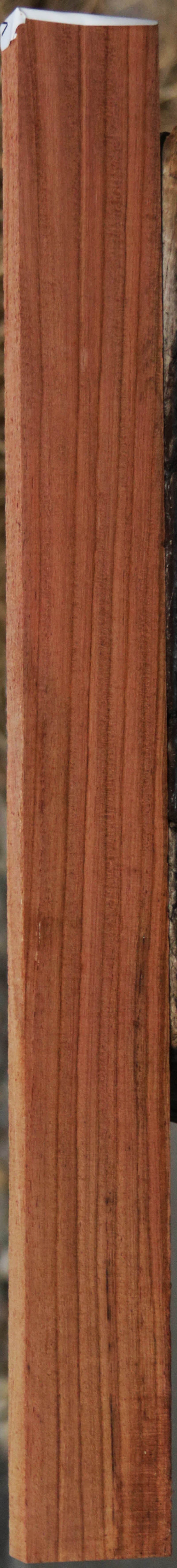 Panama Rosewood