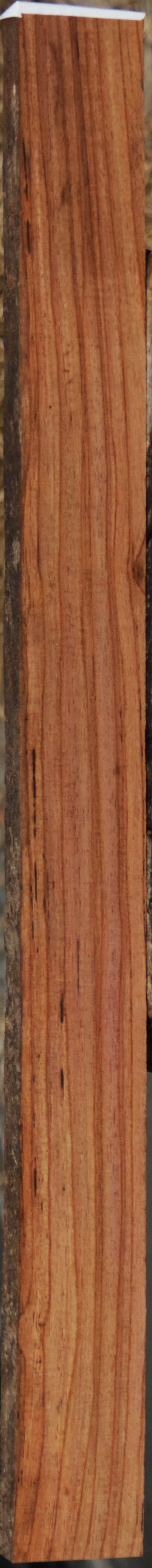 Panama Rosewood
