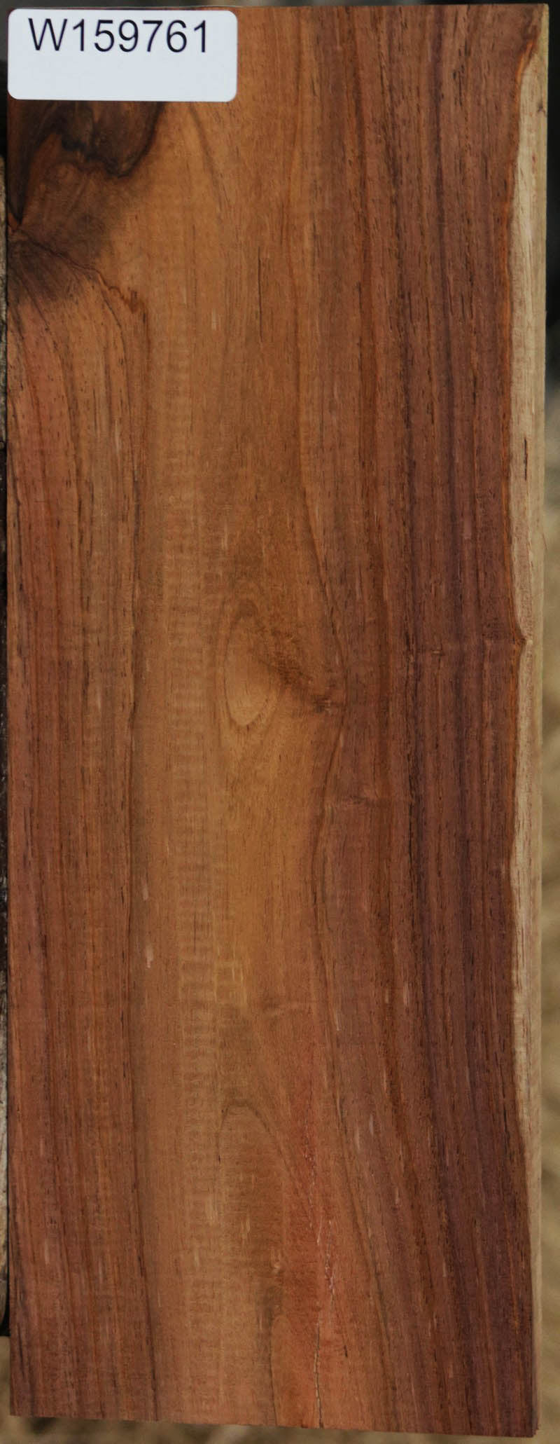 Panama Rosewood