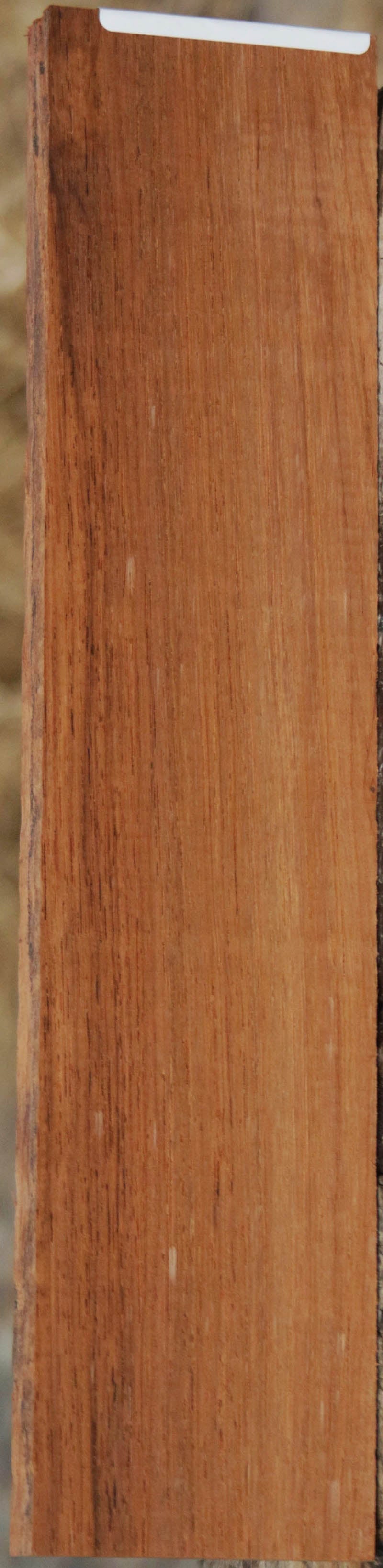 Panama Rosewood