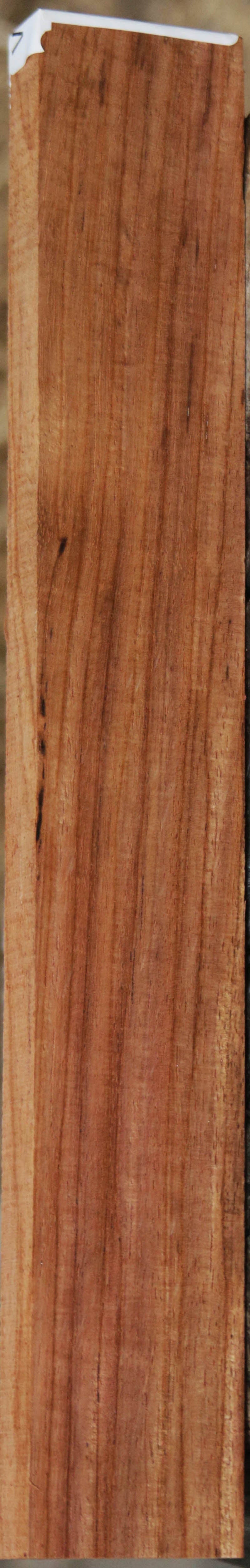 Panama Rosewood