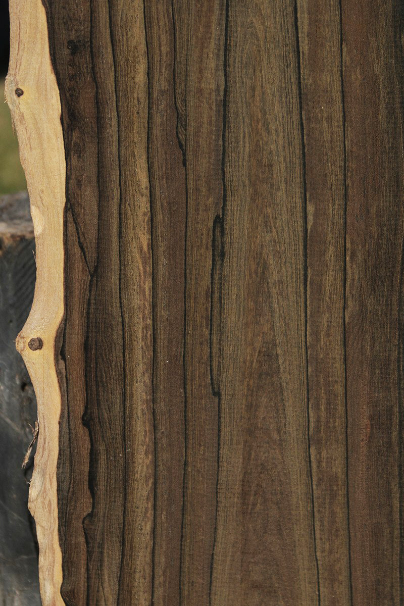 Exhibition Live Edge Ziricote Lumber