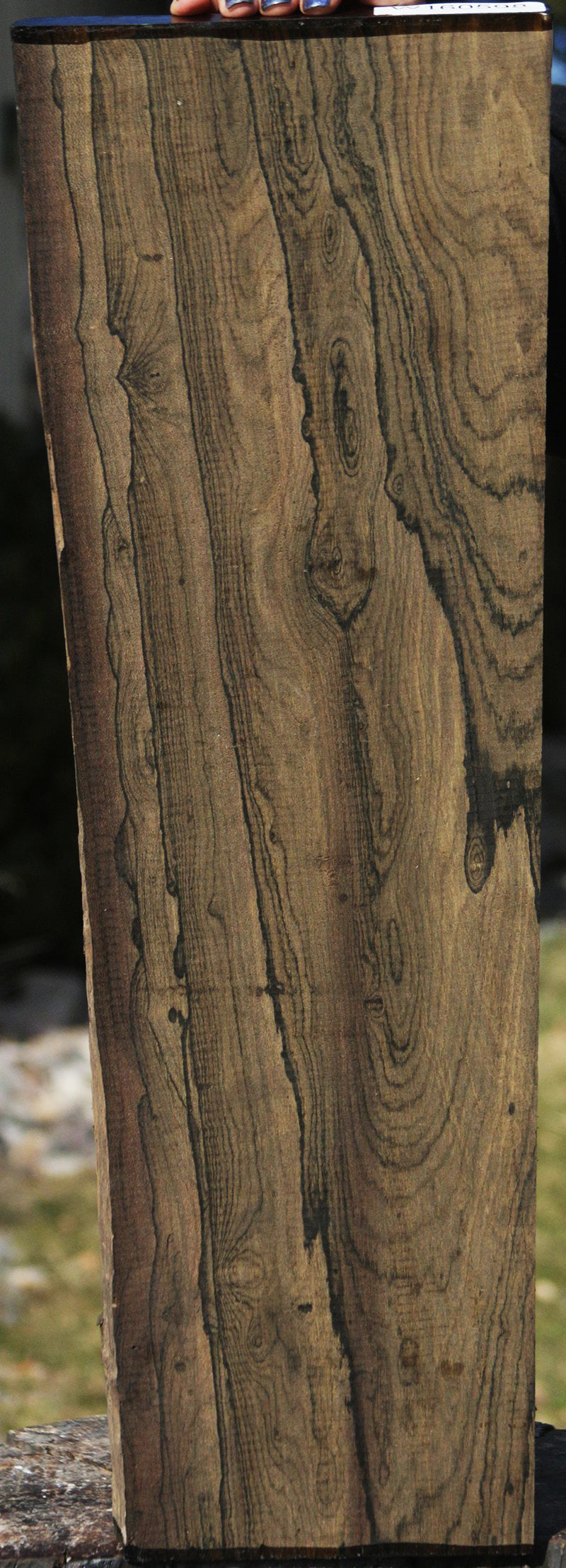 Exhibition Live Edge Ziricote Lumber – Cook Woods