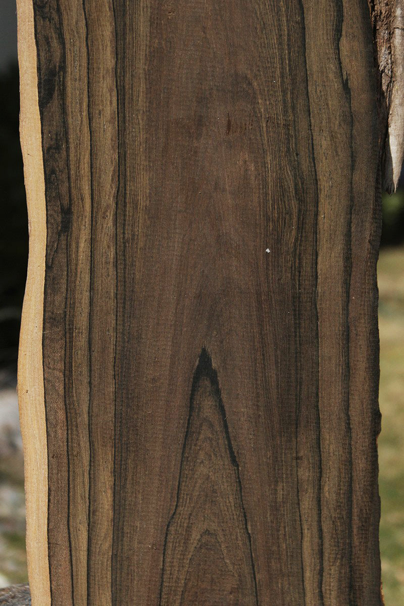 Fancy Ziricote Live Edge Lumber