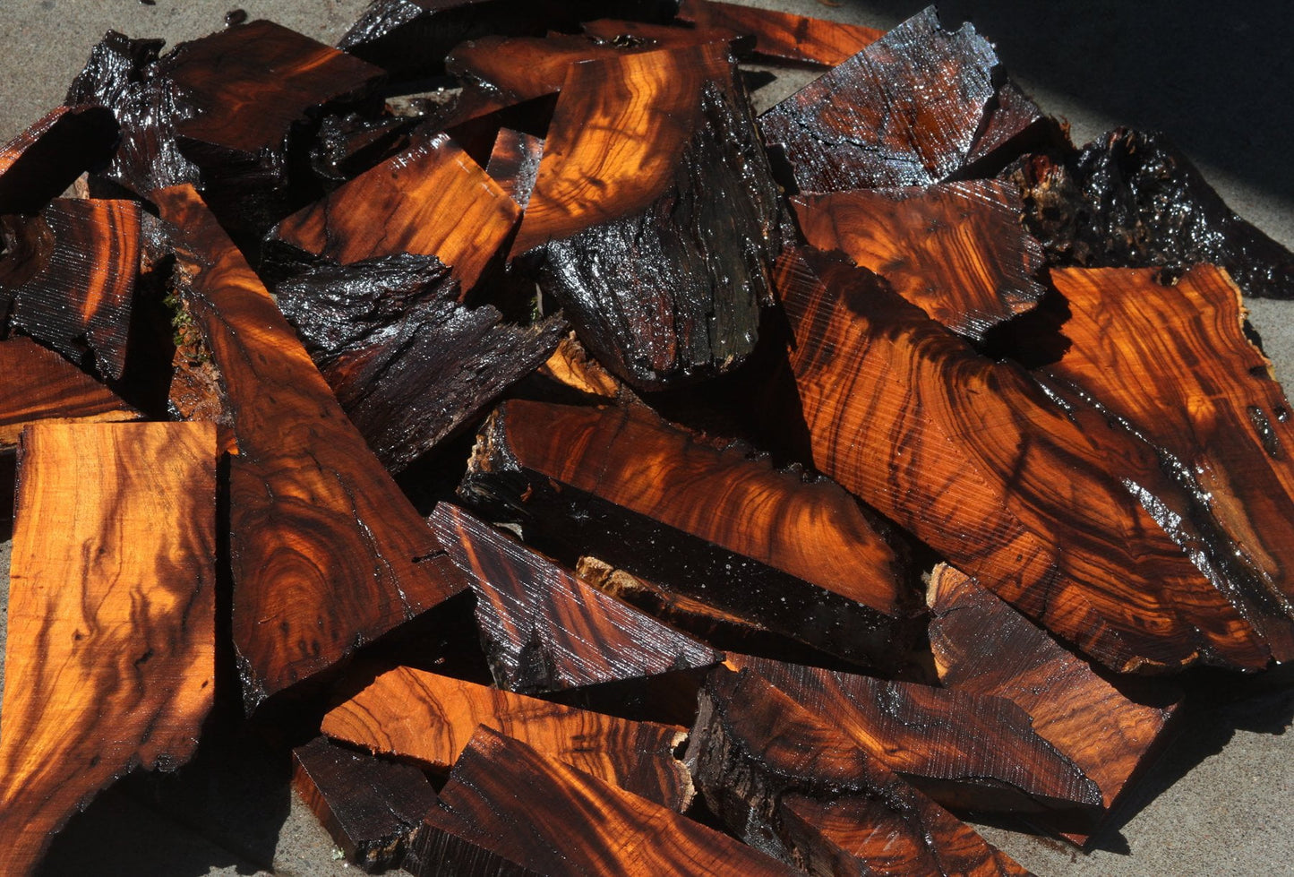Desert Ironwood Cut Offs - Medium Box (MFRB)