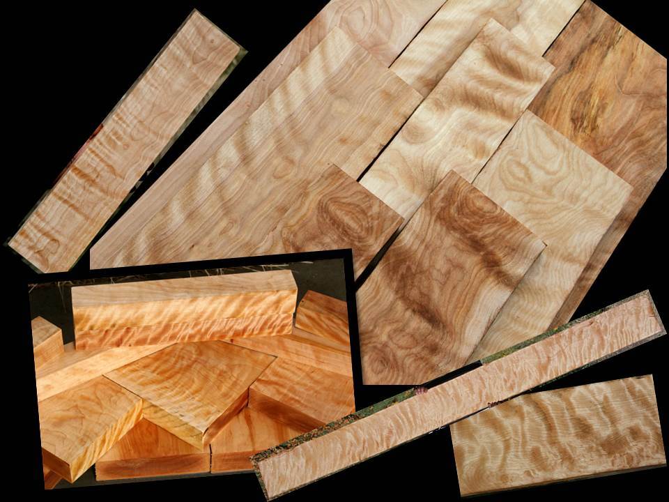 Exceptional Birch at Exceptional Prices