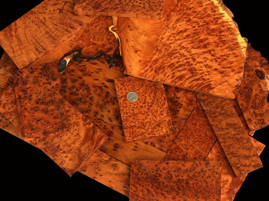 Exhibition Grade Moroccan Thuya Burl!