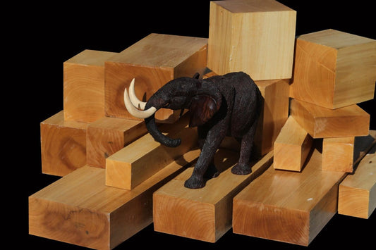 Laos Ivory Wood ~ Elephant Ivory Substitute!