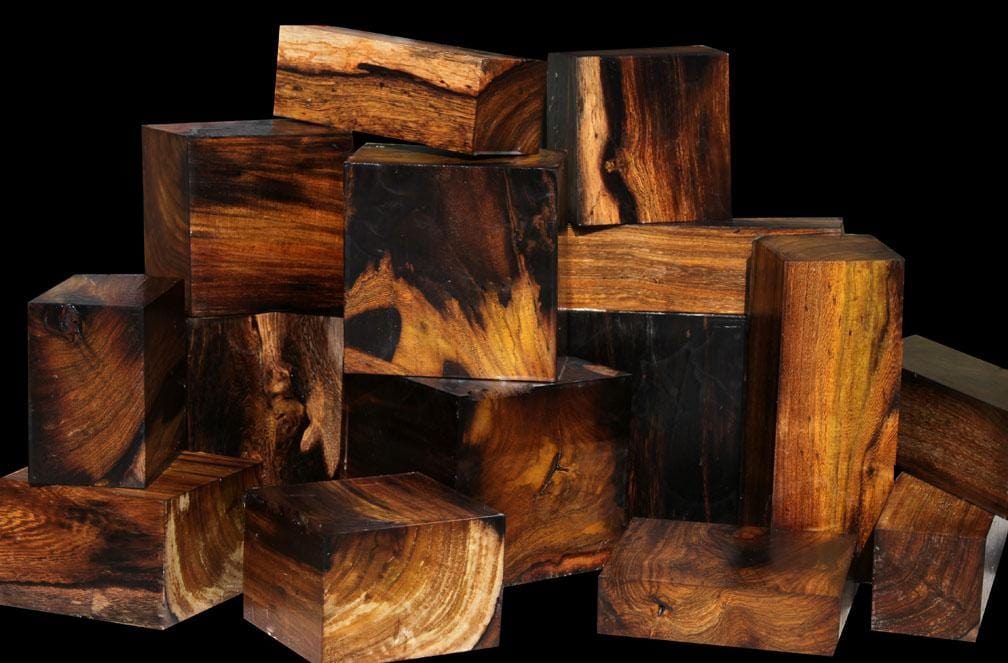 Iridescent Laos Pheasant wood ~ EXTREMELY RARE !