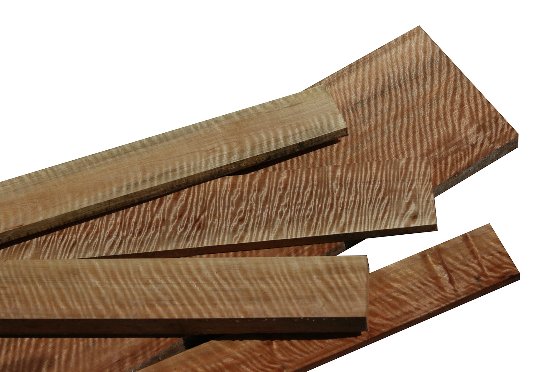 Curly Pyinma – Cook Woods