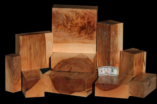 Huge California Pecan Turning Wood