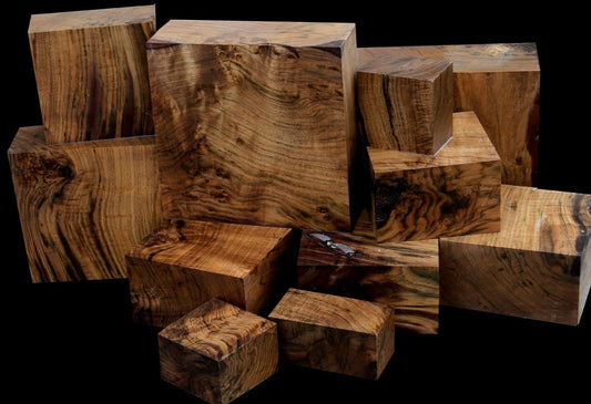 Extra Large Claro Walnut Turning Blanks