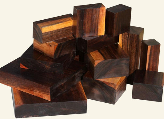 Indian Black Hearted Laurel, One of a Kind!
