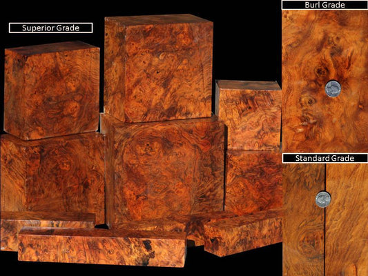 Wildly Burled Orange & Black Hopea Stone Burl
