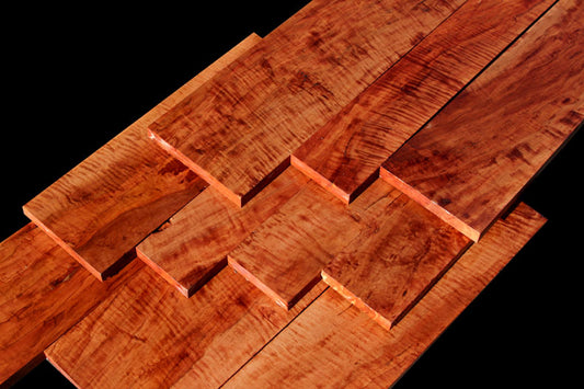 XF Flamed SE Asian Rambutan ~ One of a Kind!