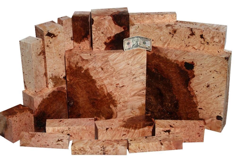 Burl Sale - Mammoth Maple, Mousy Price