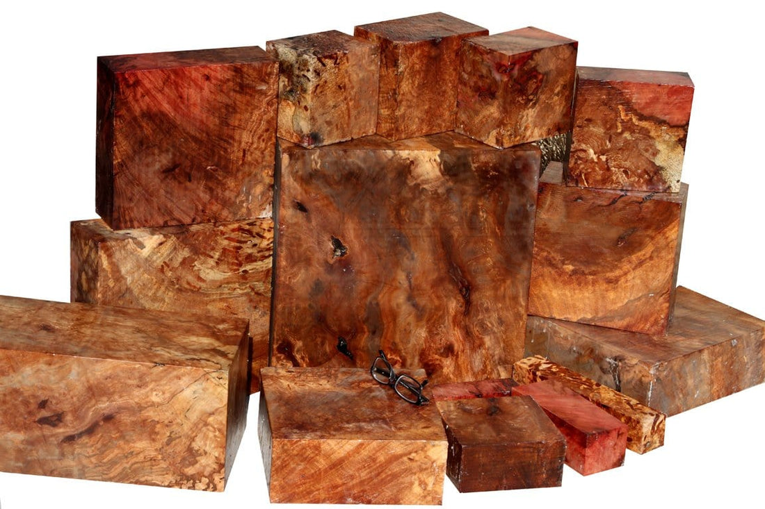 One-of-a-kind, Spalted Wormy Madrone Burl