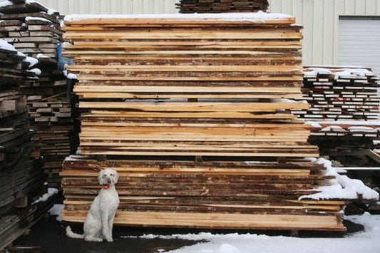 Wholesale and Custom Orders