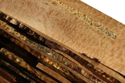 Western Big Leaf Maple