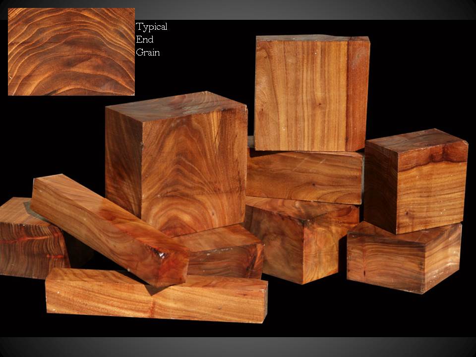 Siberian Elm Turning Blanks