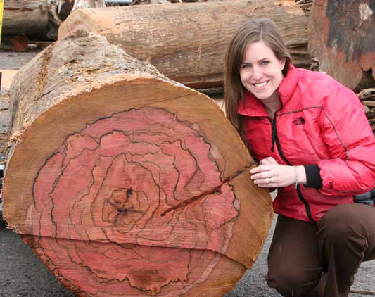 Wood Mizer Contest - Cook Woods Won!