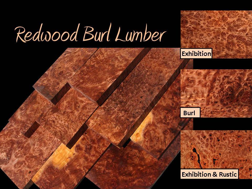 Exhibition Redwood Lace Burl Lumber