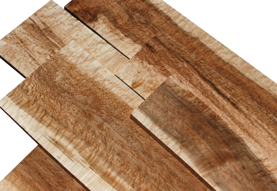 XF Birdseye Maple