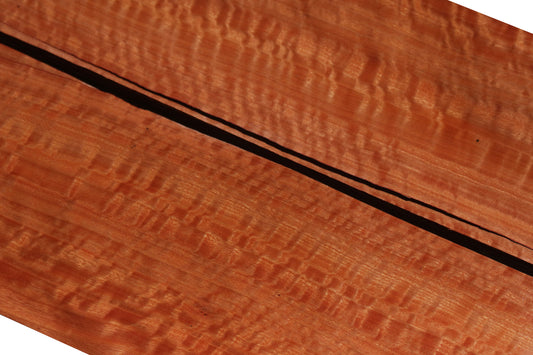 Beeswing Figure - A Show Stopper!