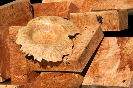 Big Leaf Maple Burl Slabs & Blanks!