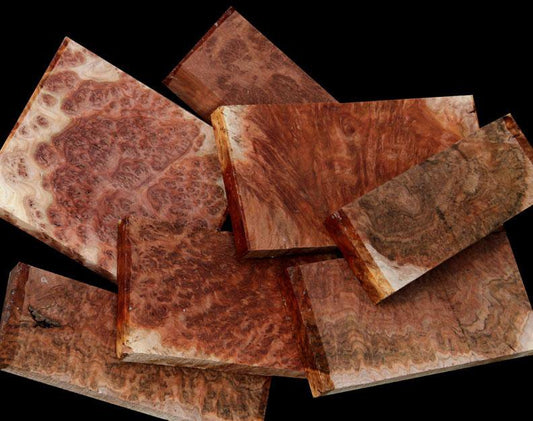 Exhibition Australian Red Mallee Burl