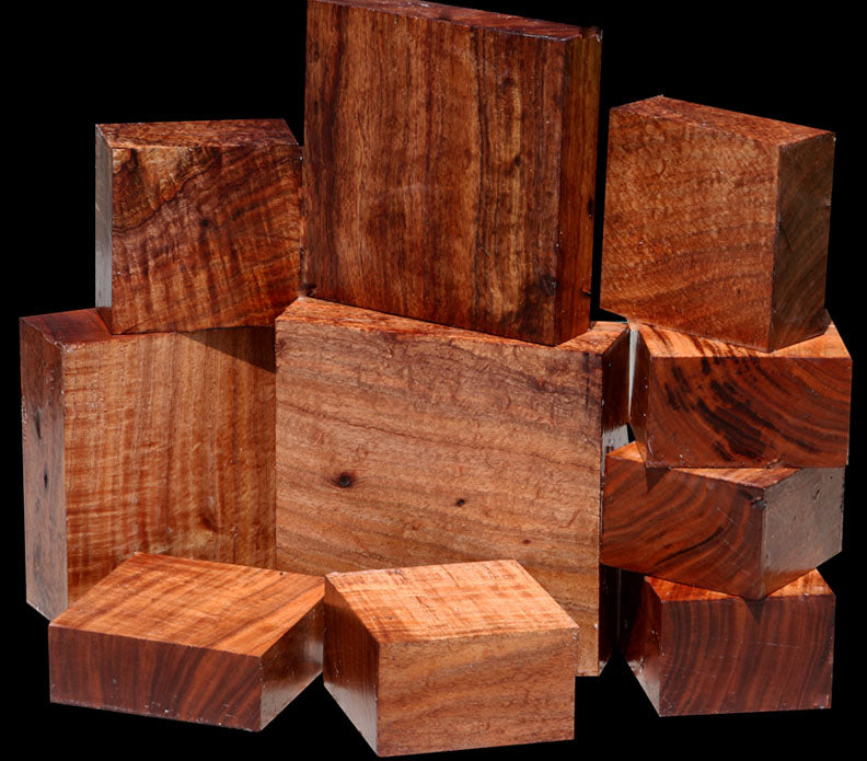 Curly Iridescent Tasmanian Blackwood ~ Very Limited Quantity!