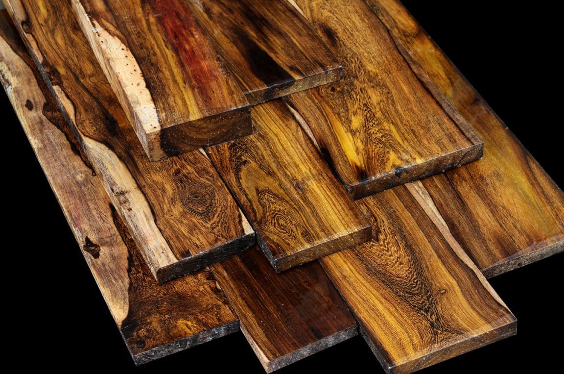 Iridescent Laos Pheasant wood ~ EXTREMELY RARE ! – Cook Woods