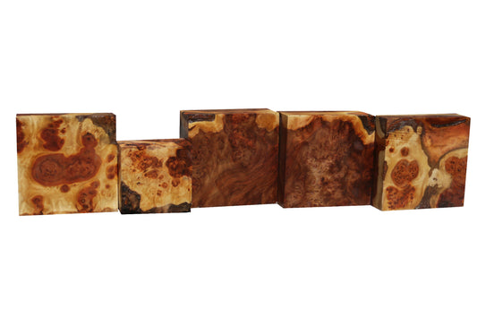 Cottonwood Burl Turning Sale!