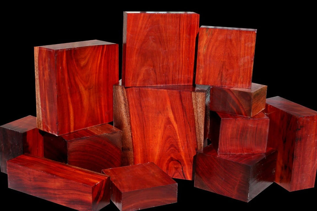 JUST OUT! Exclusive Borneo Rosewood ~ Brand New Species!!