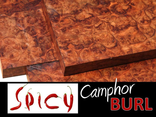Spicy Camphor Burl
