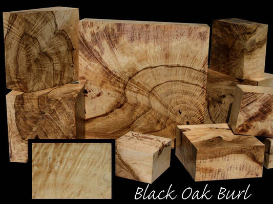 Swirly Burly Black Oak Burl ~ Exquisite!