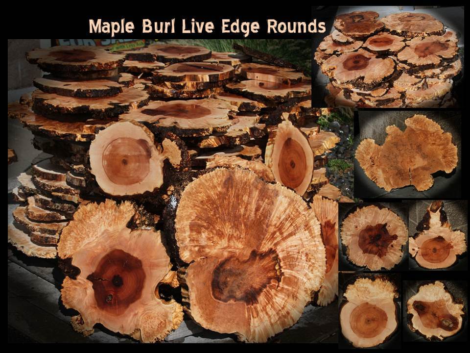 Maple Burl Live Edge Round Slabs ~ One of a Kind!
