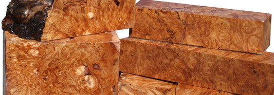 Maple Burl