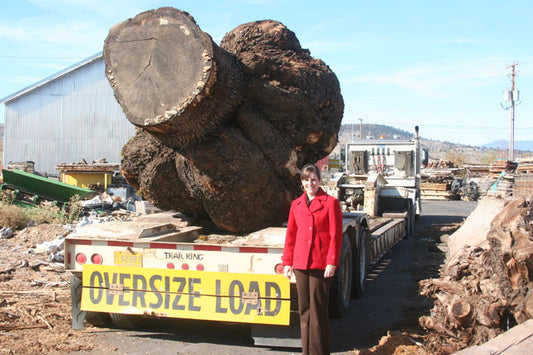 Historic Dyer Oak Burl