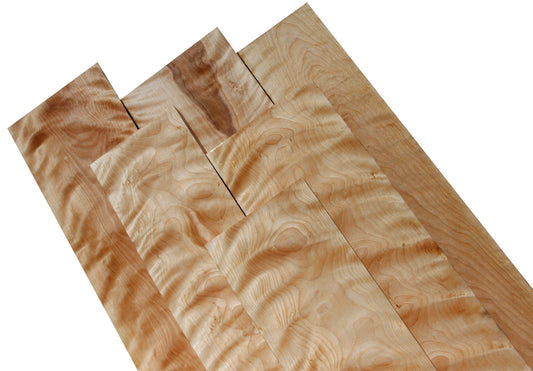 Curly Birch