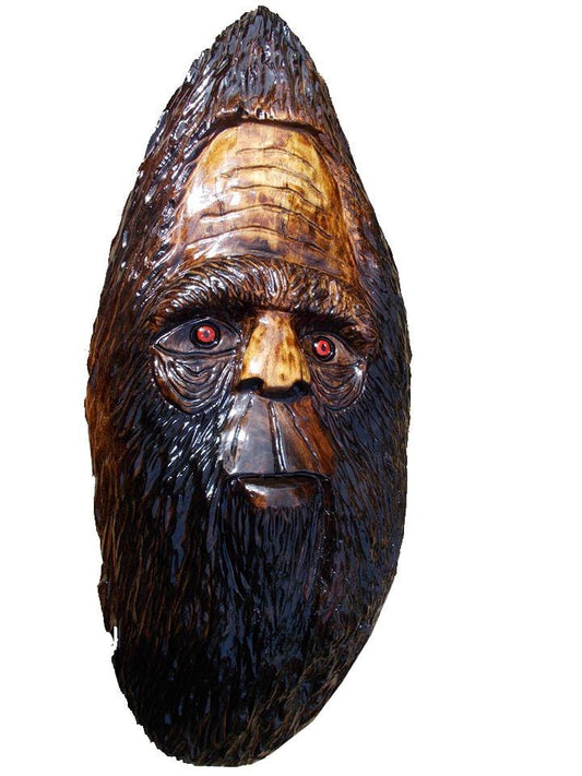 Black Walnut Big Foot Head