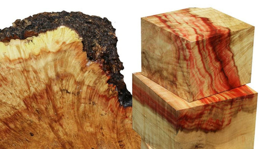 Box Elder