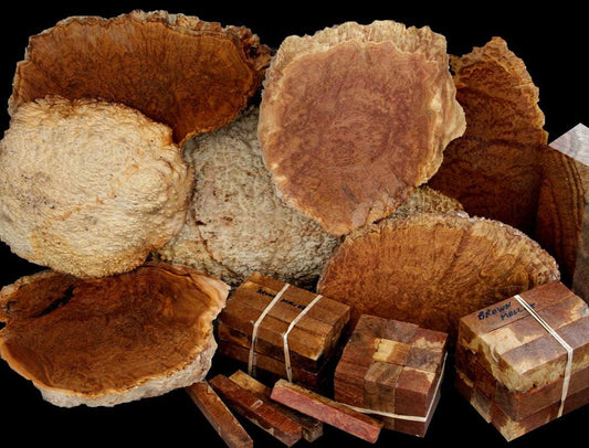 First time Ever, Golden Brown Mallee Burl