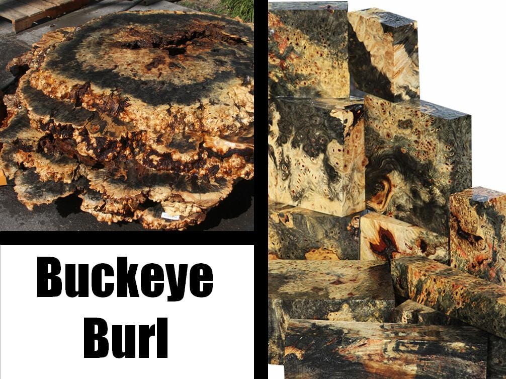 Buckeye Burl – Unique Live Edge Slabs & Turning Blanks