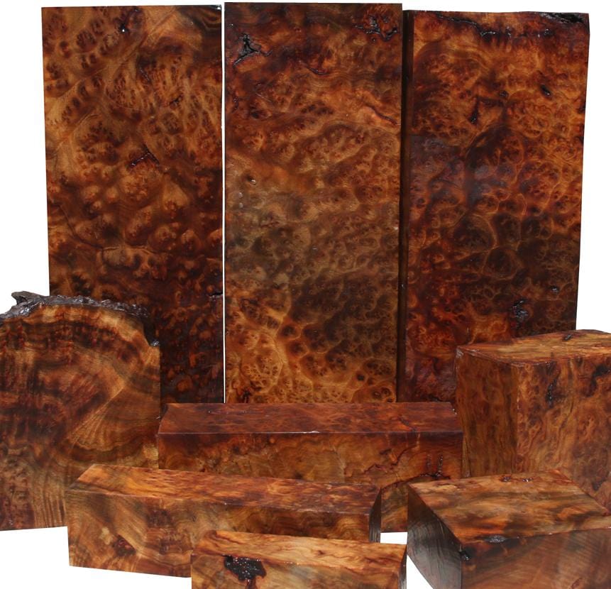 Camphor Burl, Extremely Rare Turning Wood