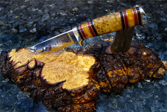 Drop Point Hunter Black Ash Knife On Maple Burl With Jigged Deer Antler
