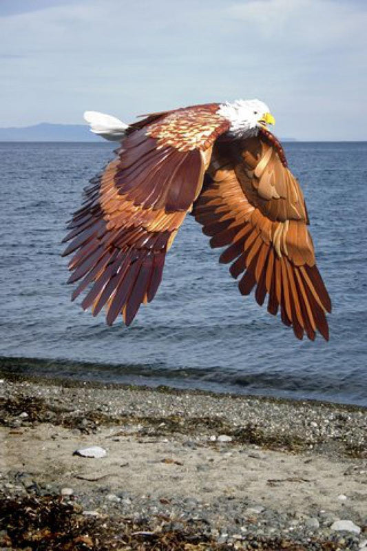 Hand Crafted Eagle