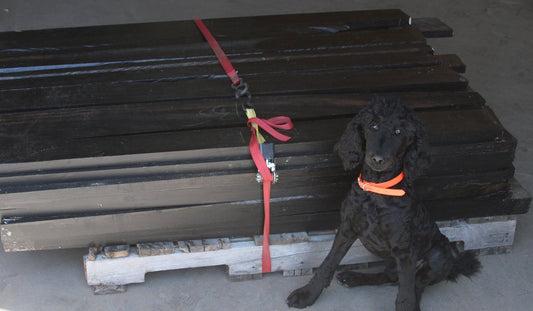 Jet Black Gabon Ebony